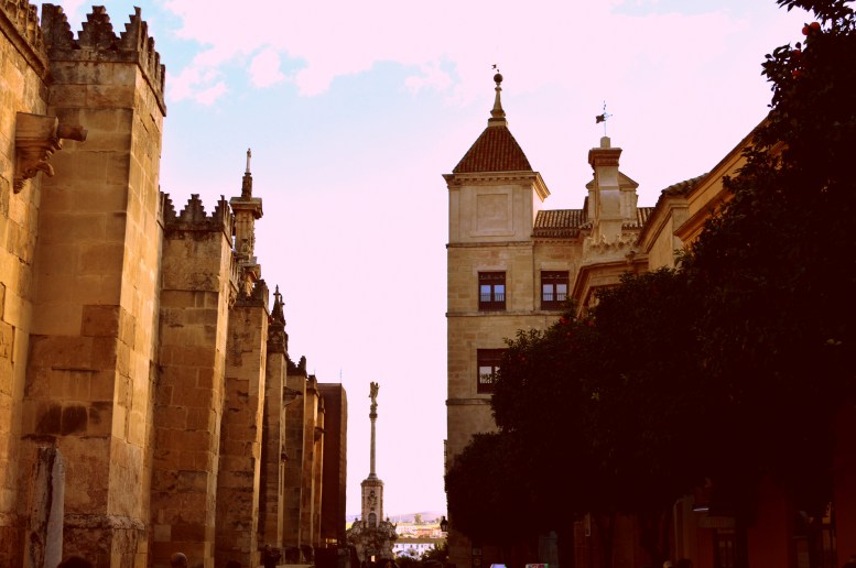 While walking around the Alcazar's palace